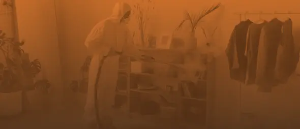 Servicio de fumigación y control de plagas